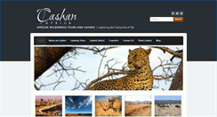 Desktop Screenshot of cashanafrica.com